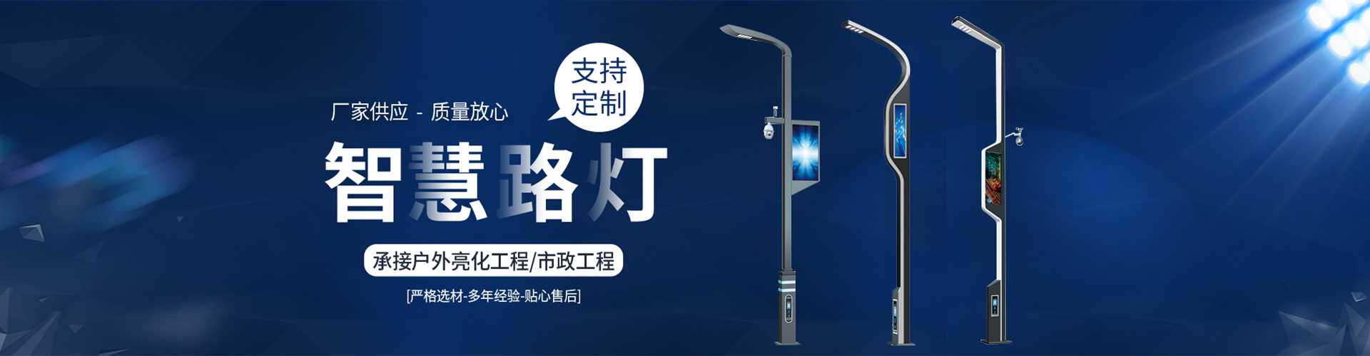 崇左市太阳能路灯定制厂家