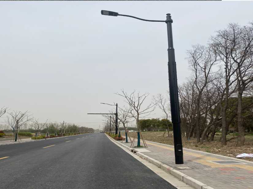 崇左市上海综合杆 太阳能路灯工程